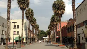 Pedestrian street lined with tall palm trees, flanked by buildings with shops and a hotel sign. People are walking towards the distant trees under a cloudy sky. Statues are present on the right side.